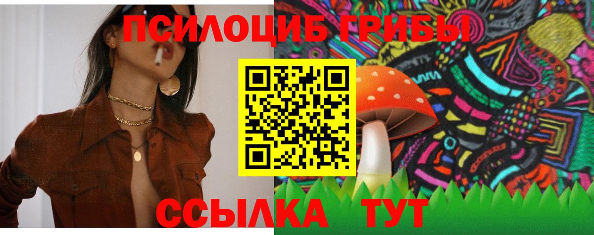 Елизово  Галлюциногенные грибы MAGIC MUSHROOMS  Вход с VPN 